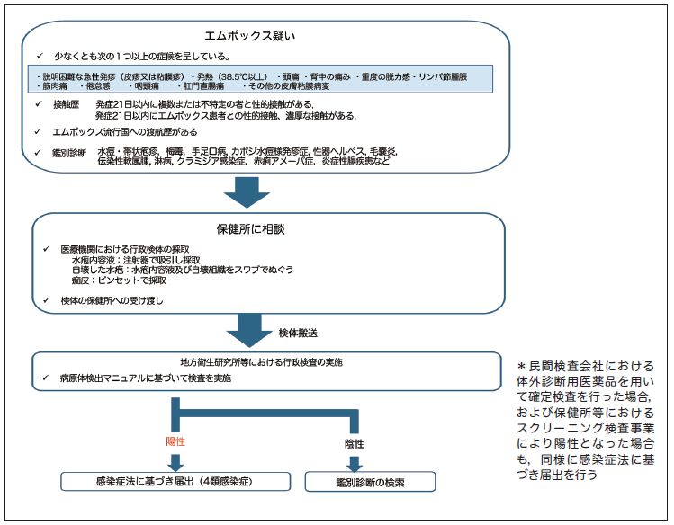 図3-1　エムポックス：主な診断、届出の流れ